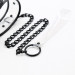Ошейник с поводком DS Fetish Collar with leash transparent