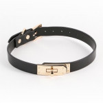 Нашийник із золотистою фурнітурою NS Novelties Fetish & Fashion, чорний