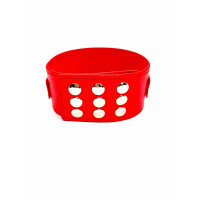 Ошейник с поводком DS Fetish Collar with leash red metal