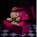 Подарочный набор UPKO «Bear With Me». Limited Gift Set