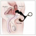Массажер простаты ToyJoy Power Plug Prostate Massager, красный