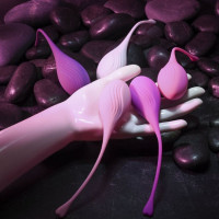 Набір вагінальних кульок Evolved Tight&Delight різних кольорів, 5 шт.