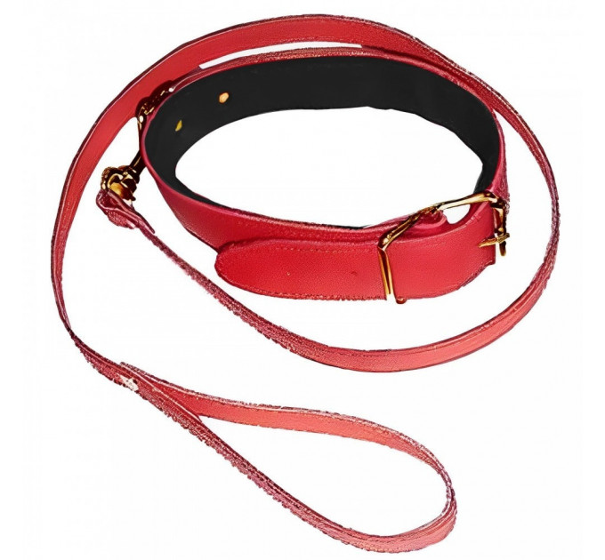 Ошейник с поводком DS Fetish Collar with leash red