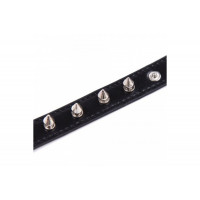 Ошейник с шипами Collar black with metal spikes