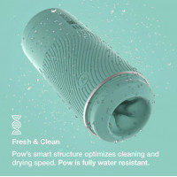 Мастурбатор премиум-класса с контролем всасывания Arcwave Pow Stroker Mint