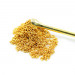 Флогер з пензликом на ланцюжку DS Fetish Golden Metal 23 см 