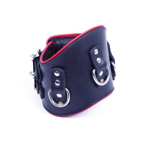 Ошейник анатомический с 3-мя кольцами DS Fetish черный с красной строчкой (Голландия)