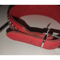 Нашийник Leather Rivet