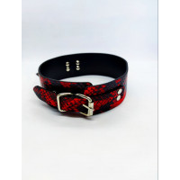 Нашийник з повідцем Collar black/red with leash