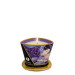 Свічки для масажу MASSAGE CANDLE EXOTIC FRUIT, 170 мл