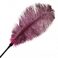 Тиклер-Перо на длинной ручке DS Fetish Burgundy, бордовый