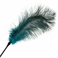 Тиклер-Перо на длинной ручке DS Fetish Green, зеленый