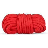 Набор БДСМ Secret Pleasure Chest Red Dragon