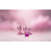 Анальная пробка розовая Dream Toys Gleaming Love с декоративным камнем в виде сердца, S