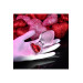 Анальная пробка стеклянная ADAM ET EVE RED HEART GEM GLASS PLUG LARGE