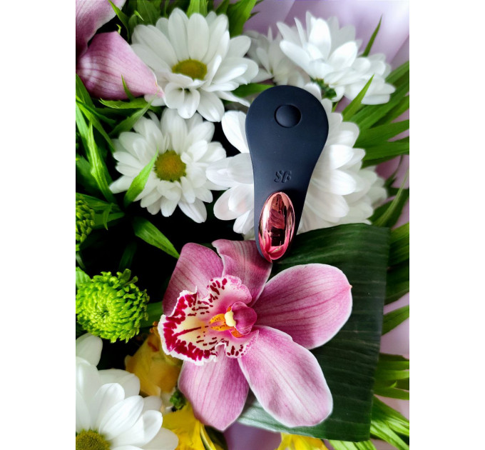 Вибратор в трусики с пультом и функцией управления смартфоном Satisfyer Little Secret
