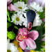 Вибратор в трусики с пультом и функцией управления смартфоном Satisfyer Little Secret