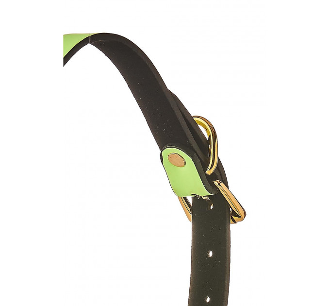 Кляп с шариком люминесцентный зеленый Dreamtoys RADIANT Glow In The Dark с золотистой фурнитурой