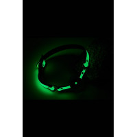 Кляп с шариком люминесцентный зеленый Dreamtoys RADIANT Glow In The Dark с золотистой фурнитурой