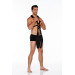 Система фіксації WHIPSMART BODY SWING BLACK