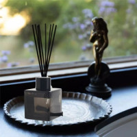 Ароматний дифузор Kheper Games Scents to Fuck By з набором паличок, 20 мл