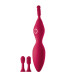 Вибратор для клитора с насадками Dream Toys SPARKLING VERONA