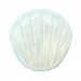 Вибратор клиторальный в форме Ракушки iroha petit SHELL