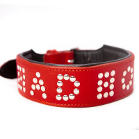 Нашийник шкіряний DS Fetish BAD BOY червоний (Голландія)