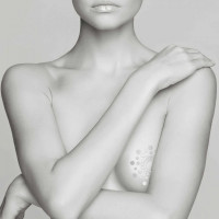 Украшение для грудей MIMI Metallic Skin Transfer Bijoux Indiscrets