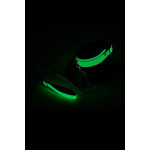 Ошейник с поводком светящийся в темноте Dream Toys Radiant Glow In The Dark Collar & Leash зеленый