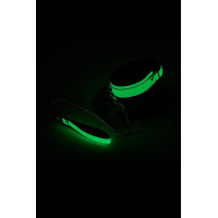 Ошейник с поводком светящийся в темноте Dream Toys Radiant Glow In The Dark Collar & Leash зеленый