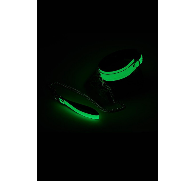 Ошейник с поводком светящийся в темноте Dream Toys Radiant Glow In The Dark Collar & Leash зеленый