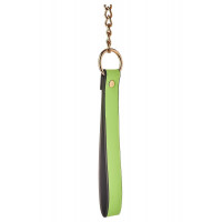 Нашийник з повідцем, що світиться у темряві Dream Toys Radiant Glow In The Dark Collar & Leash зелений