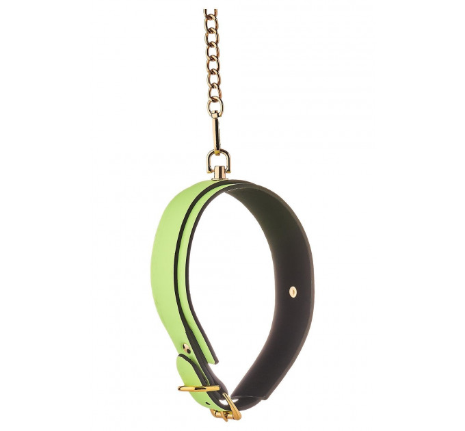 Ошейник с поводком светящийся в темноте Dream Toys Radiant Glow In The Dark Collar & Leash зеленый