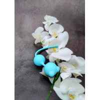 Вагинальные шарики Loveshop 16.5 см * 2.7 см Balls Blue