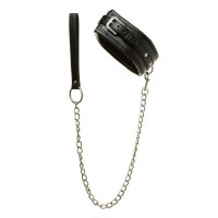 Ошейник с поводком Luxury Fetish Rivet and Style