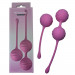 Набор вагинальных шариков Passion Play для упражнений Кегеля, розовые, 2 шт