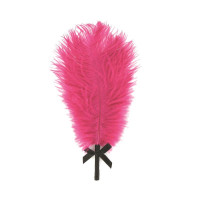 Романтический набор RS - Essentials - Kit d'Amour Zwart/Roze