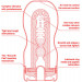 Мастурбатор Tenga - U.S. Original Vacuum Cup Regular