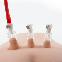 Вакуумная помпа для вагины и сосков Blush Temptasia Clitoris Pleasure System