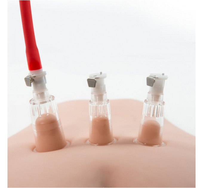 Вакуумная помпа для вагины и сосков Blush Temptasia Clitoris Pleasure System