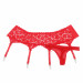 Комплект трусики з поясом для панчіх StarNight, червоний, XS-S