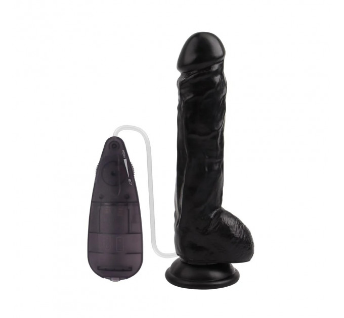 Вібратор з пультом 8,9' Vibrating Dick CHISA 22.5 х 4.2 см