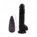 Вібратор з пультом 8,9' Vibrating Dick CHISA 22.5 х 4.2 см