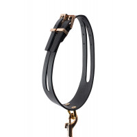 Повідець з нашийником GP PREMIUM COLLAR LEASH SET BLACK