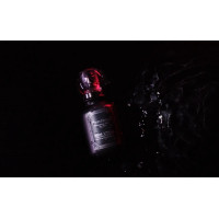 Духи з феромонами PheroStrong Pheromone Show для чоловіків, 50 мл