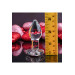 Стеклянная анальная пробка ADAM ET EVE RED HEART GEM GLASS PLUG SMALL