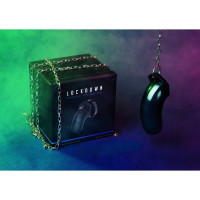 Пояс верности Lockdown Chastity Cage, L
