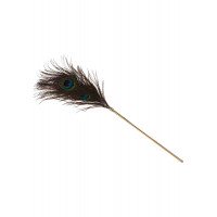 Перо Павлина Taboom DONA Peacock Tickler на длинной ручке