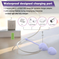 Набір вагінальних віброкульок Every Night Toys Lela, 3 шт, з дистанційним пультом, бузковий